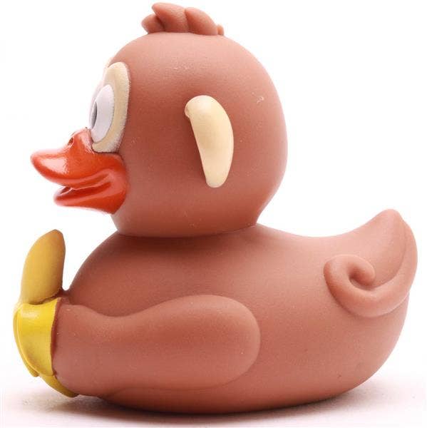 Canard Singe
