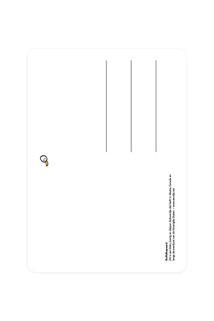 Buffalo Duck Postcard