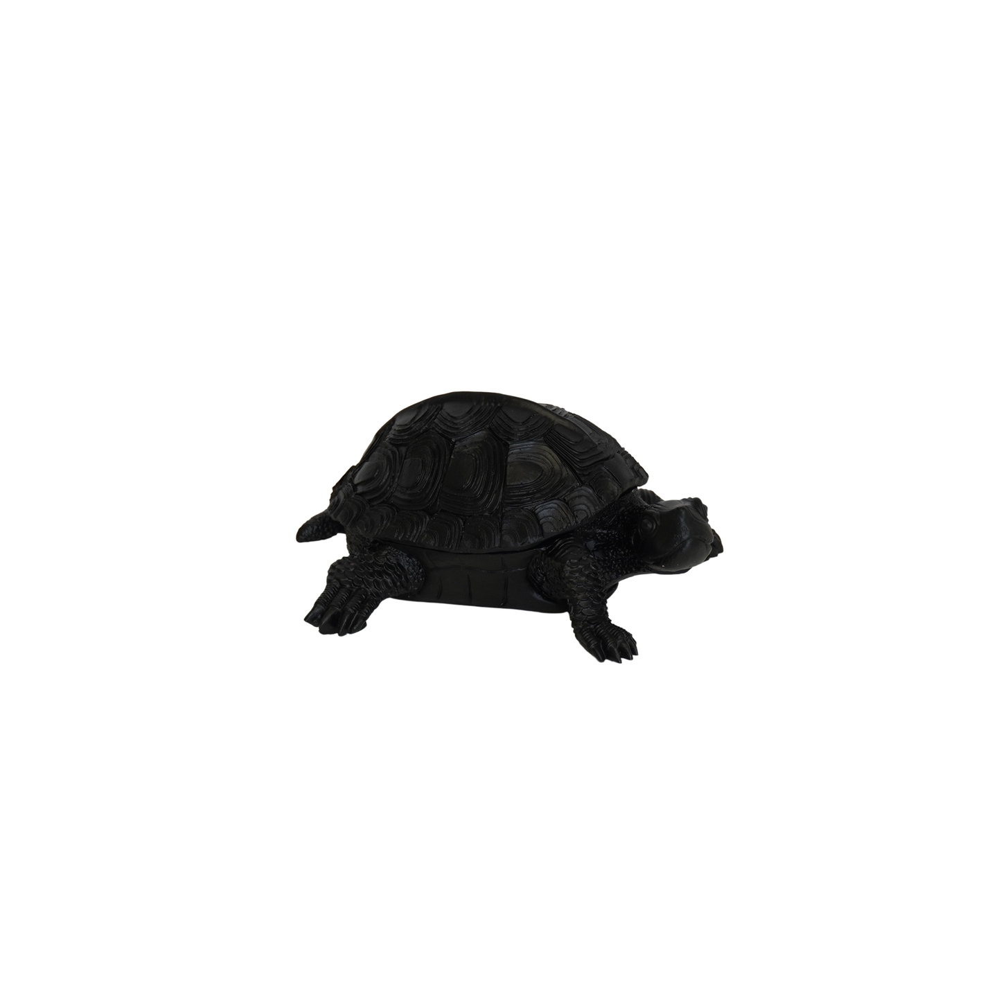 Boîte Tortue - Noir