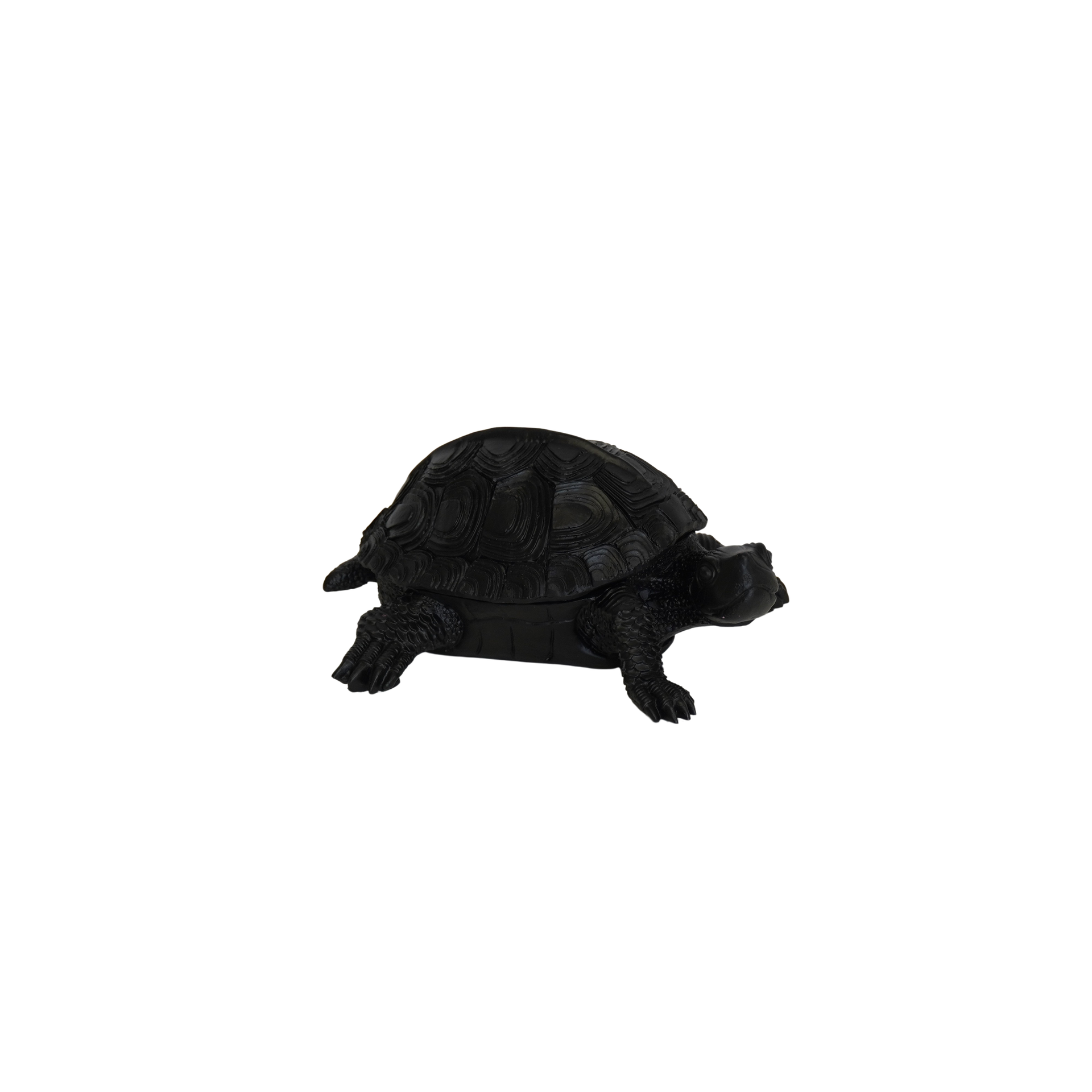 Schildkrötenbox - Schwarz