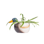 Mini jardinière Canard colvert | Design-lahjat ja sisustustuotteet