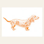 Carte postale Teckel Orange Néon