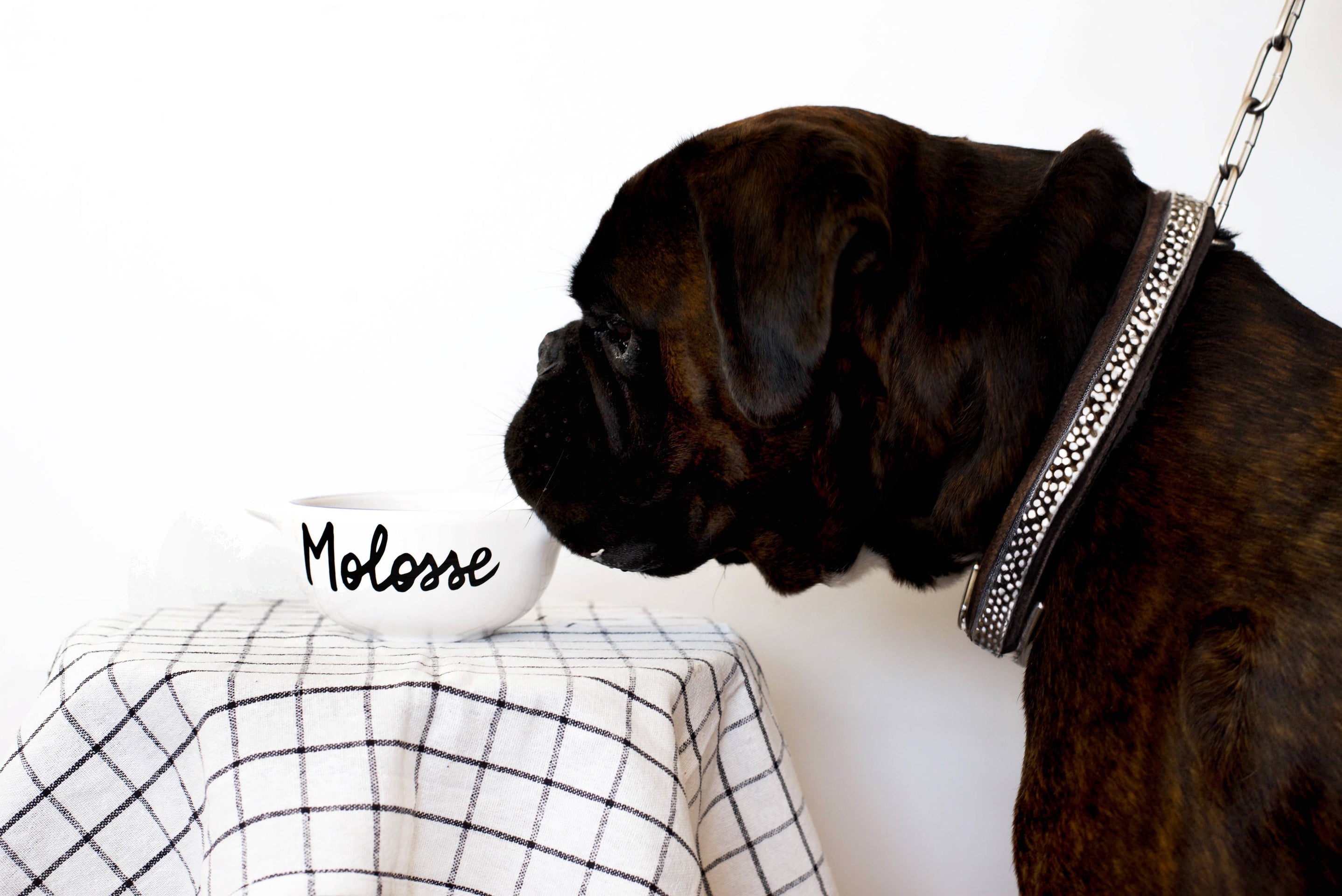 Oggetto regalo di design – bol breton molossse pied de poule