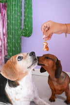 Porte-clés Beagle | Designproducten en originele cadeaus