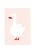 Carte postale avec cygne Coscoroba | Oggetti di design e regali originali