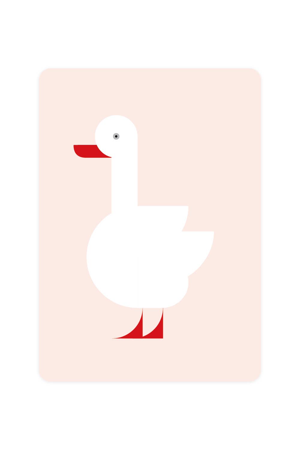Carte postale avec cygne Coscoroba | Oggetti di design e regali originali