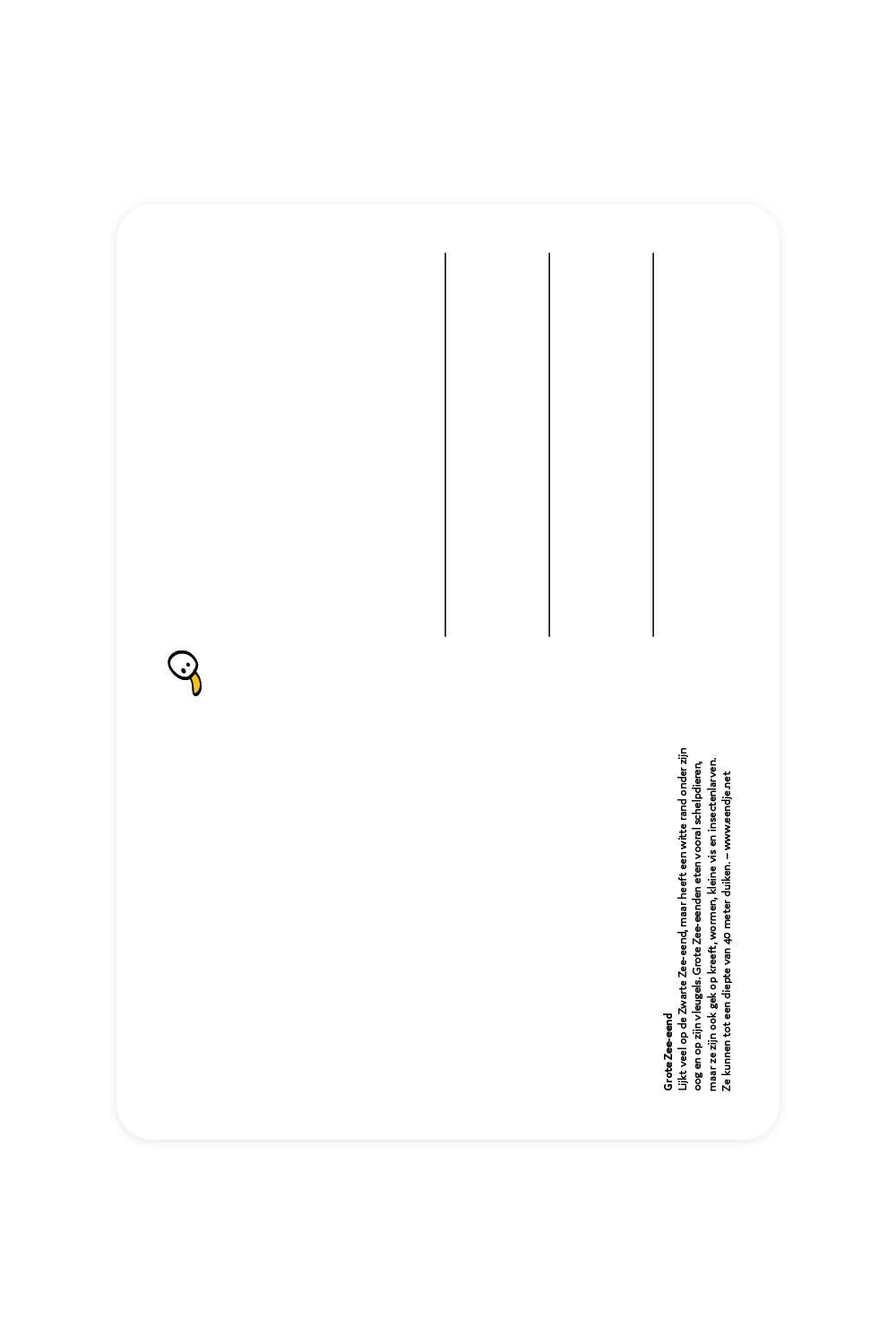 Postcard with large sea duck