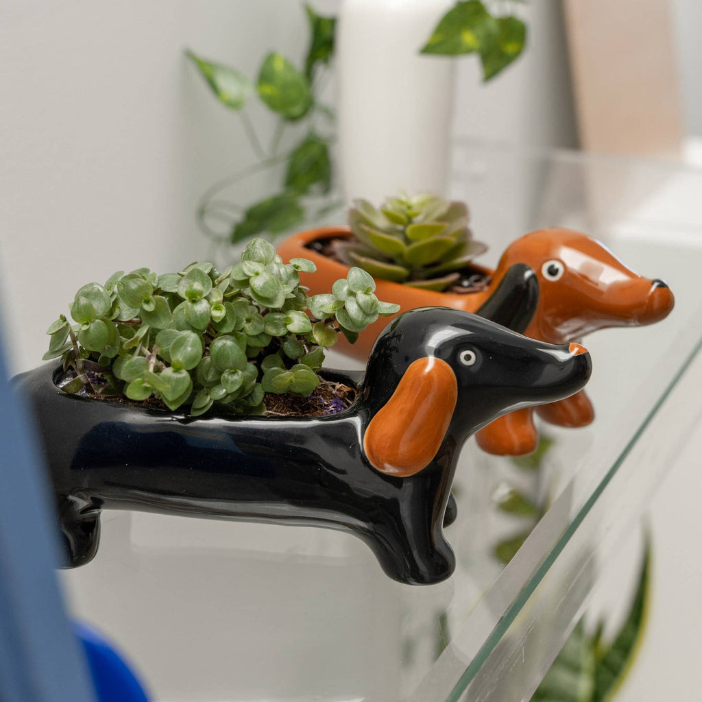 Vase Teckel Marron Helio Ferretti Vue 2