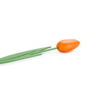 Lesezeichen mit orangefarbenem Tulpenmotiv