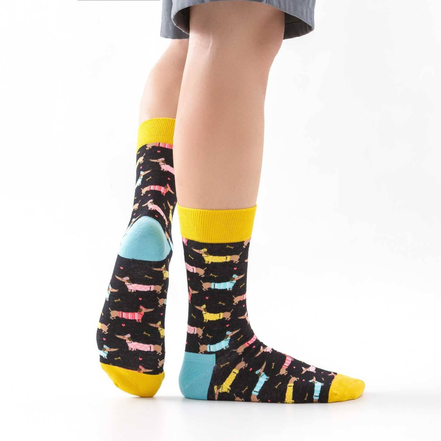 Chaussettes Teckels avec pull