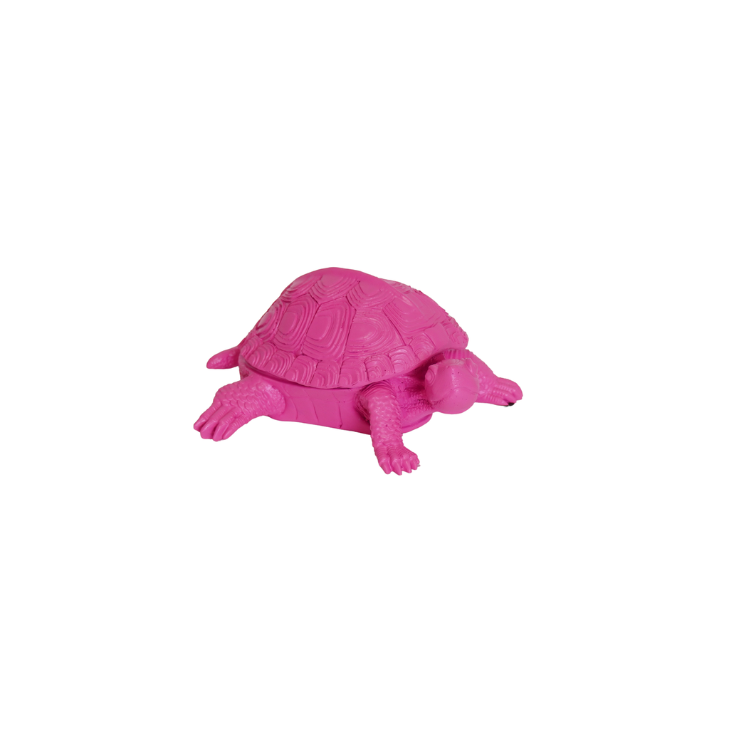 Schildkrötenbox – Neonpink
