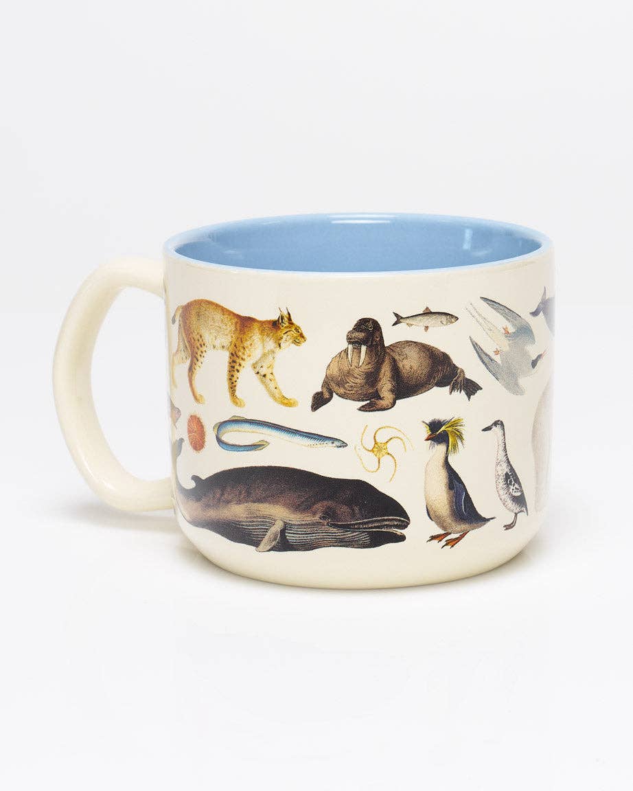 Mug de Zoologie Polaire 440 ml – produit scientifique Cognitive Surplus EU, vue 2