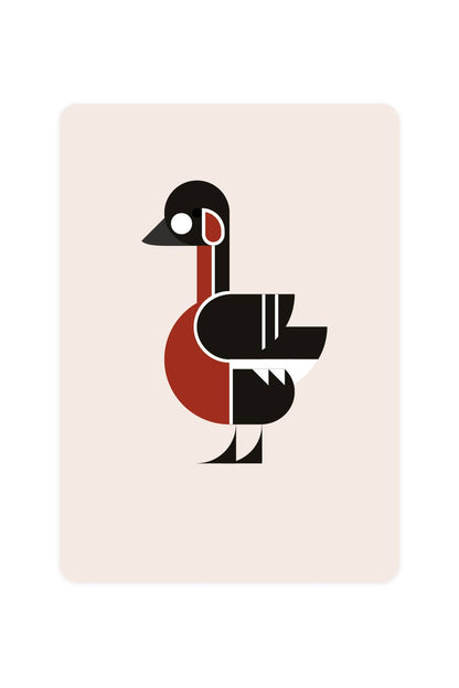 Red-breasted Goose Postcard