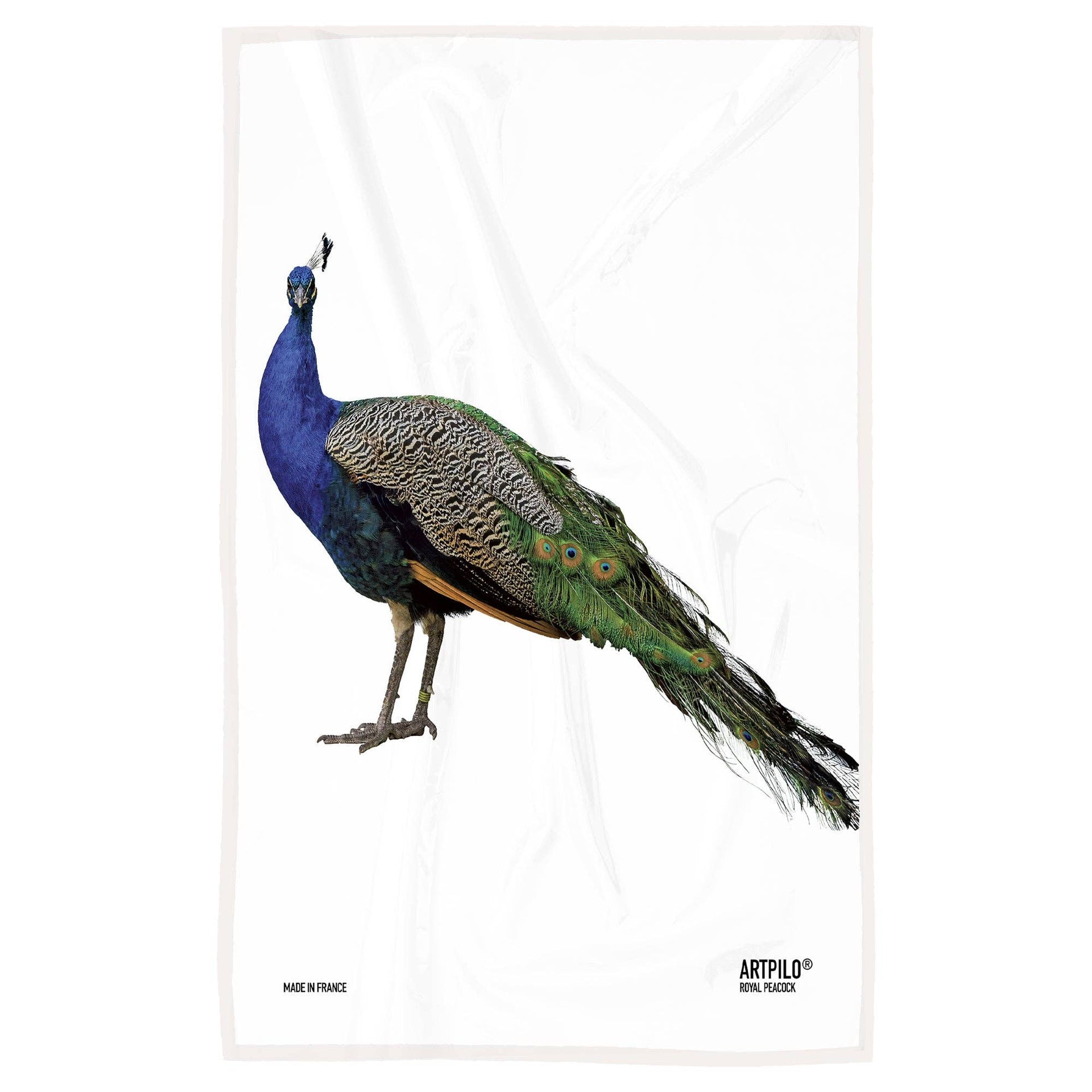 Torchon Paon | Design e regali originali