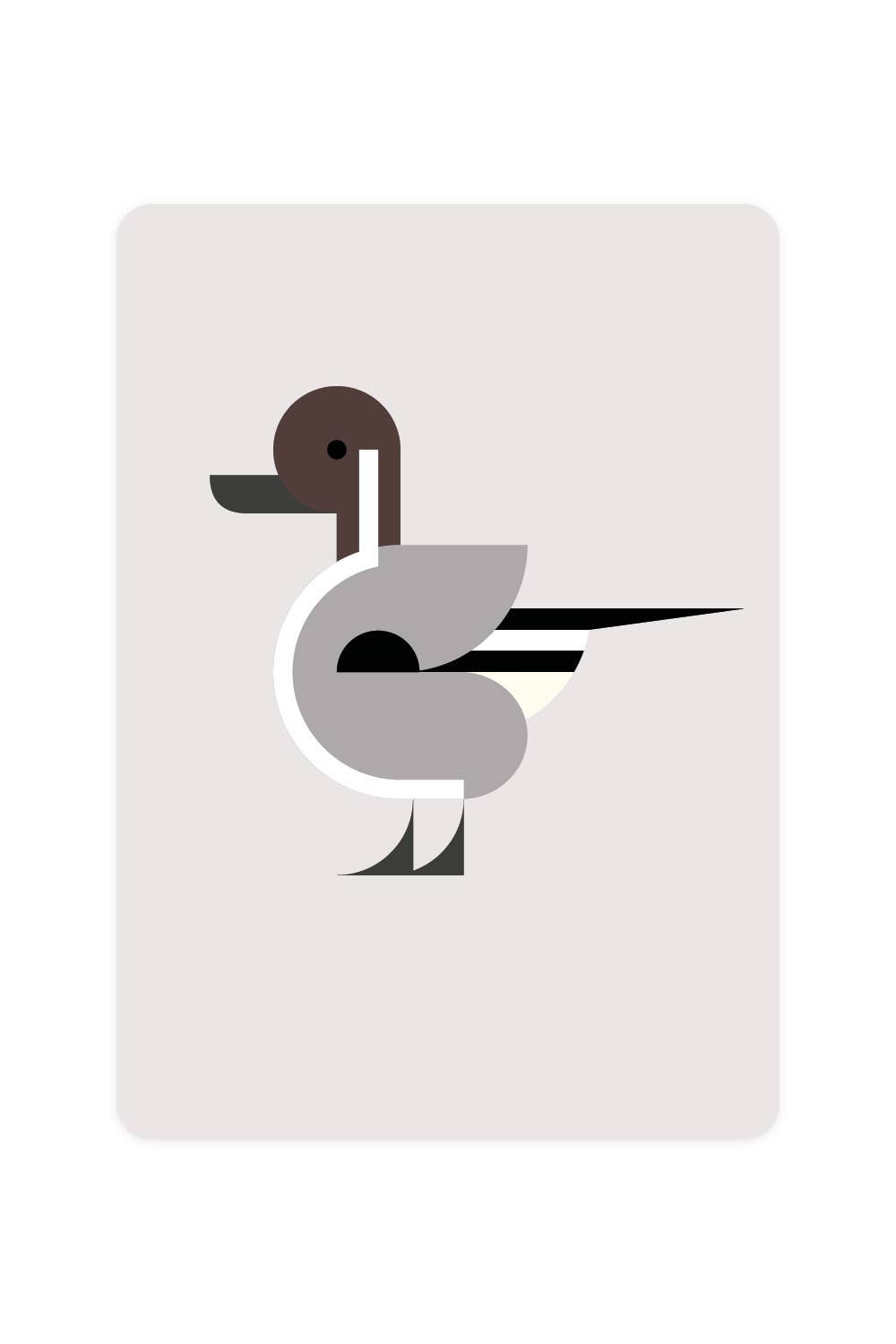 Carte postale avec Pintail | Objetos de diseño y regalos originales