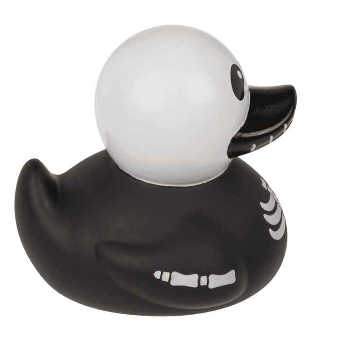 Canard Squelette – vue 4