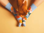 Chaussettes Chats au Soleil