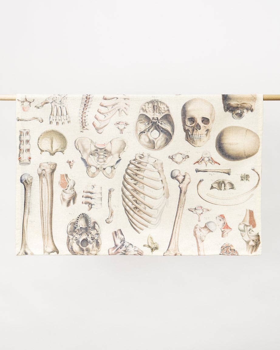 Oggetto regalo di design – Torchon Squelette – produit scientifique Cognitive Surplus EU, vue 3