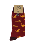 Chaussettes « Beco – Chat » - Chulé