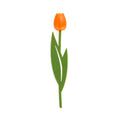 Lesezeichen mit orangefarbenem Tulpenmotiv