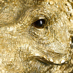Wandleuchte Triceratops Cera Gold, Kunstharz, 31,5 x 28,5 cm