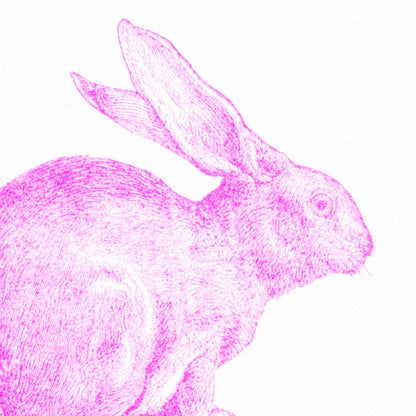 Carte Postale Lapins