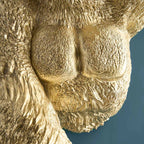 Wandleuchte Gorilla Jungle Jack gold