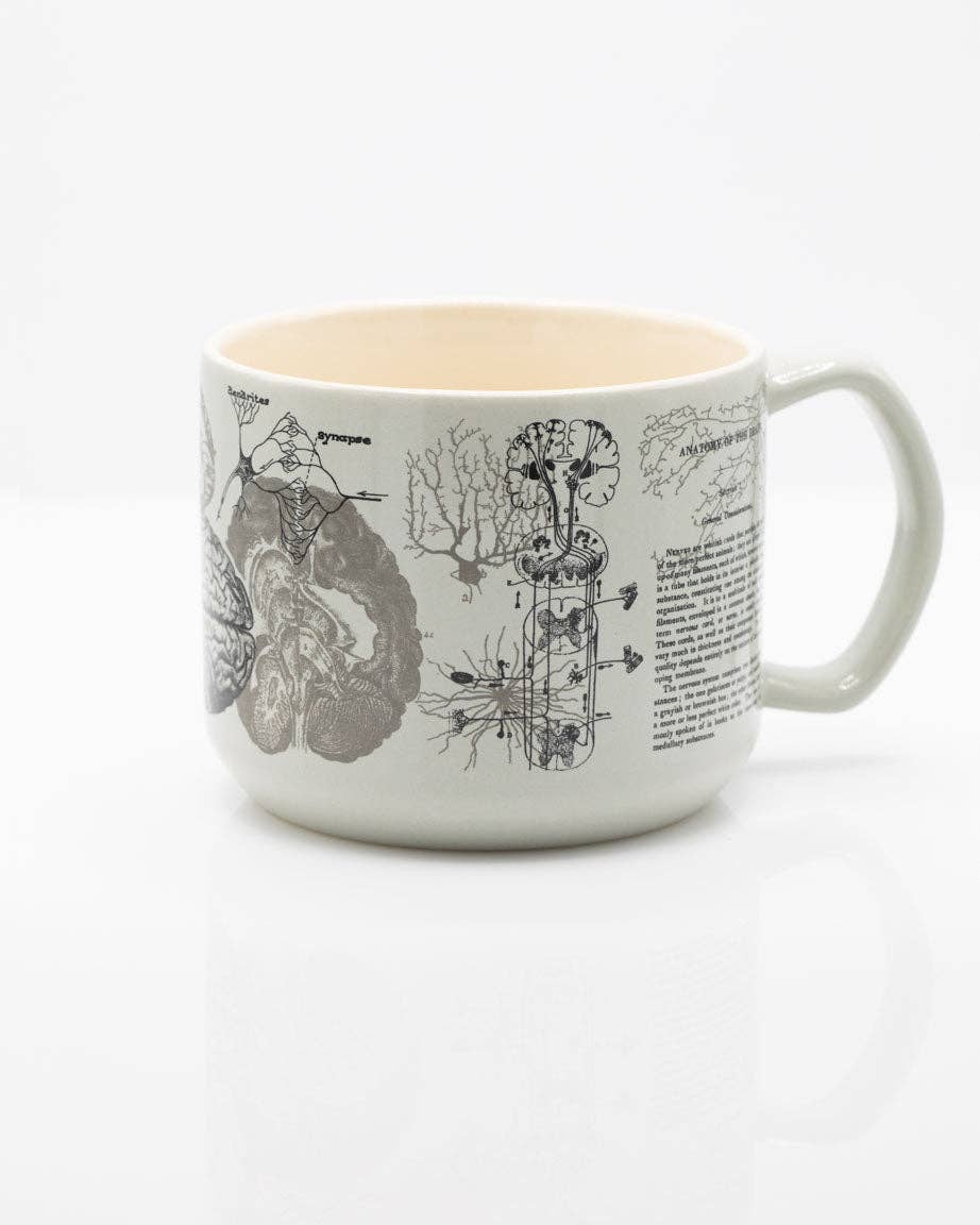 Oggetto regalo di design – Mug Brain (430 ml) – produit scientifique Cognitive Surplus EU, vue 1