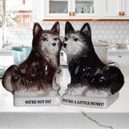 Salt and Pepper Huskies
