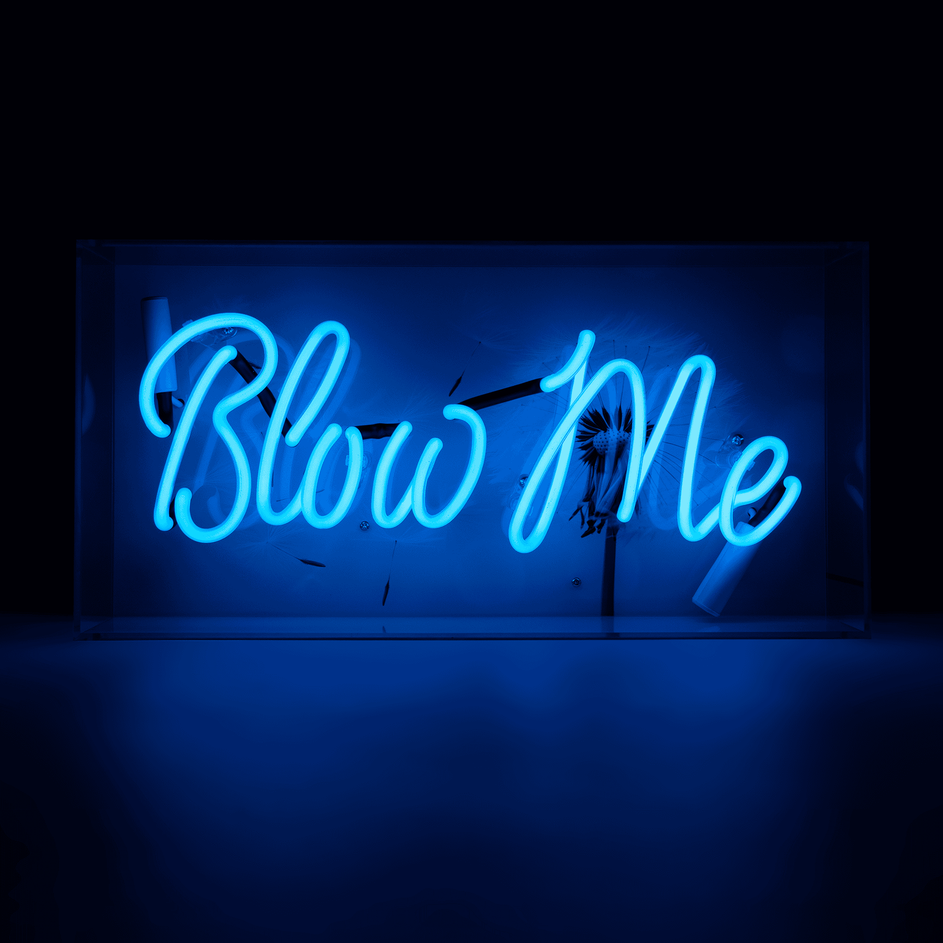 "Blow Me" Neon Box Sign