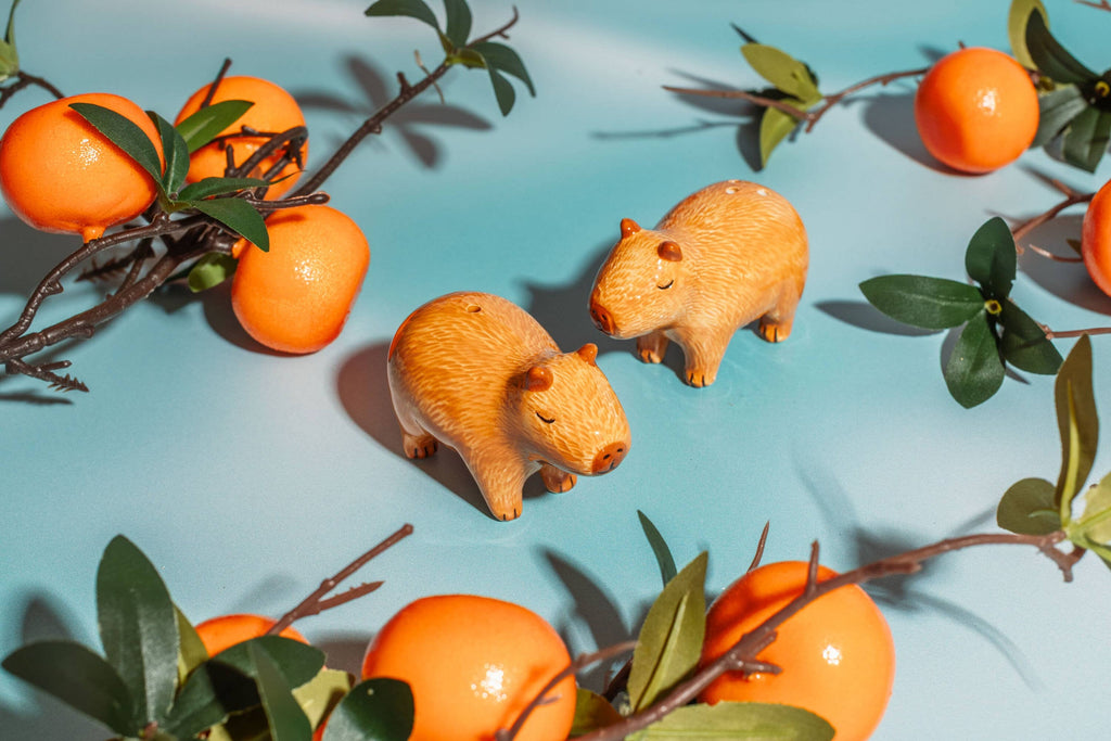 Salière et poivrière Capybaras – Sass & Belle – vue 2