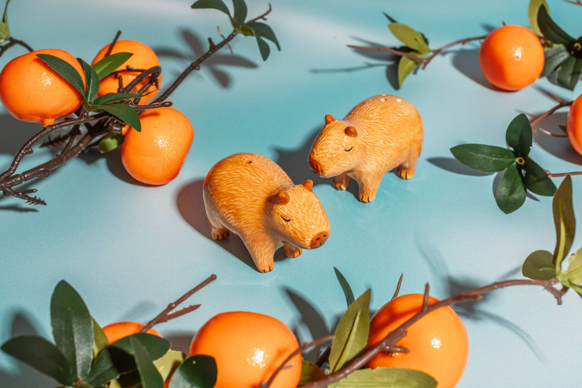 Salière et poivrière Capybaras – Sass & Belle – vue 2