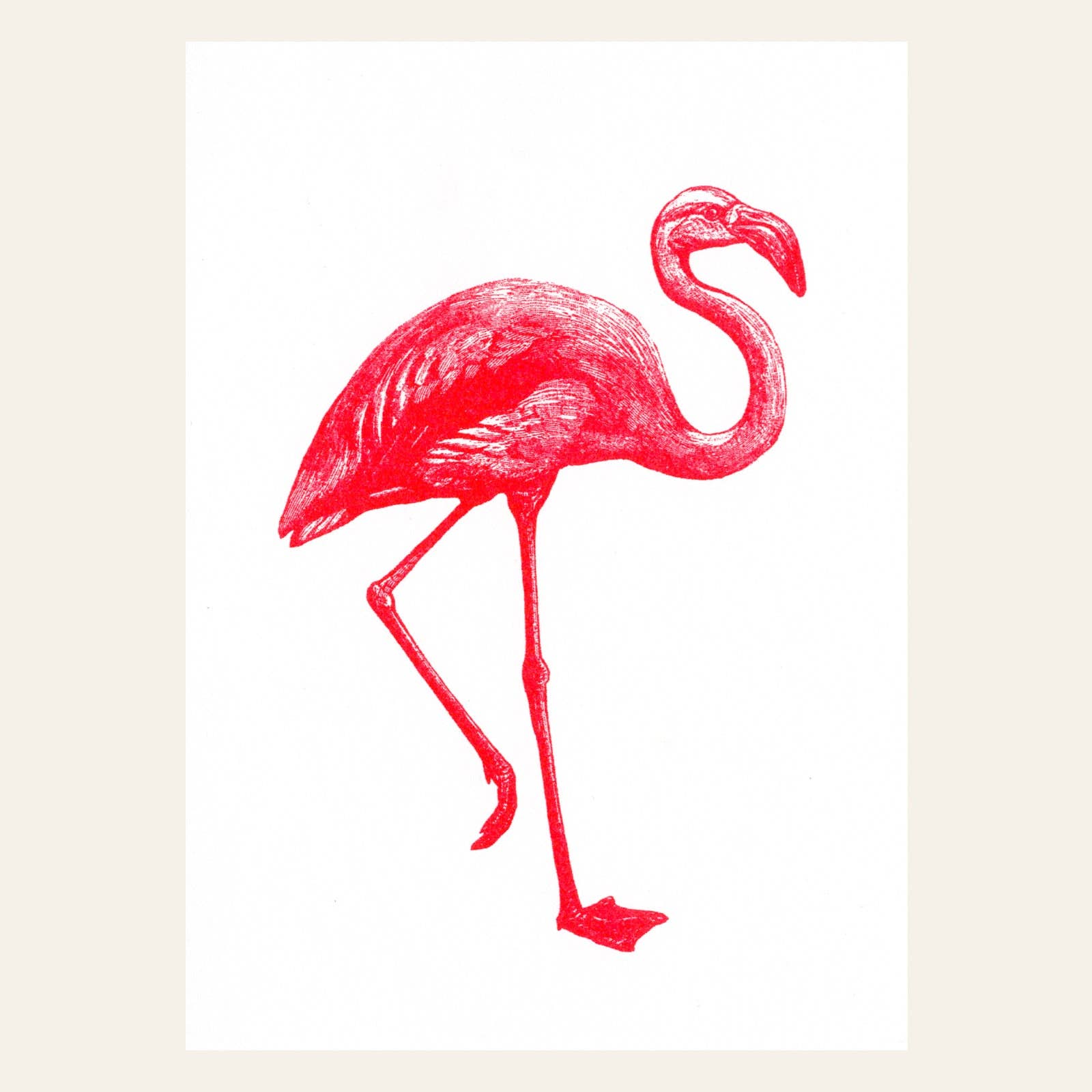 Carte postale Flamant Rose | Oggetti di design e regali originali