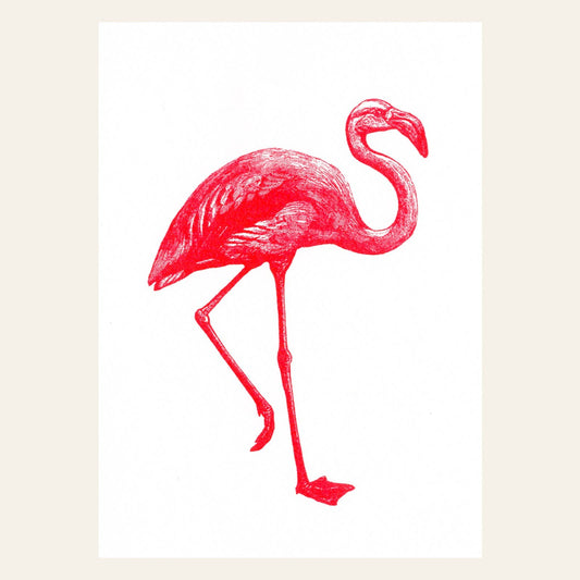 Carte postale Flamant Rose