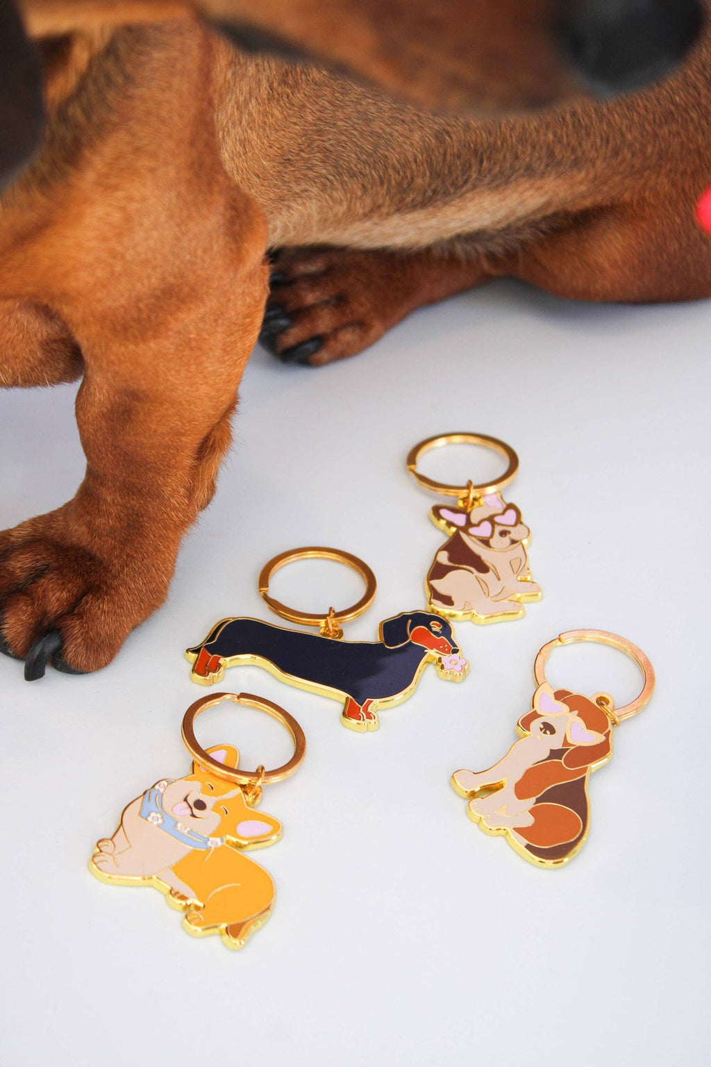 Porte-clés Corgi | Design e regali originali
