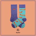 Coffret Cadeau Chaussettes Chien