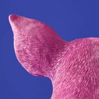 Tischlampe Schwein Rosa