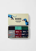 Pack de chaussettes Pets - coton biologique: Multicolor / 41-46 – Besocks
