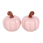 Sel et poivre Citrouilles roses d'automne