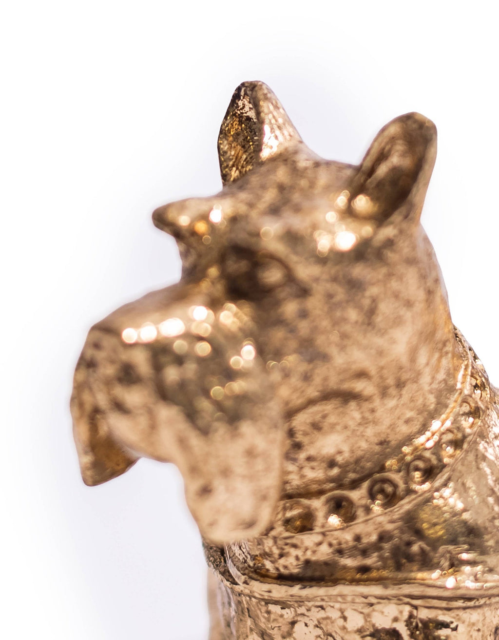 Boîte à bibelots Scottish-terrier doré | Designproducten en originele cadeaus