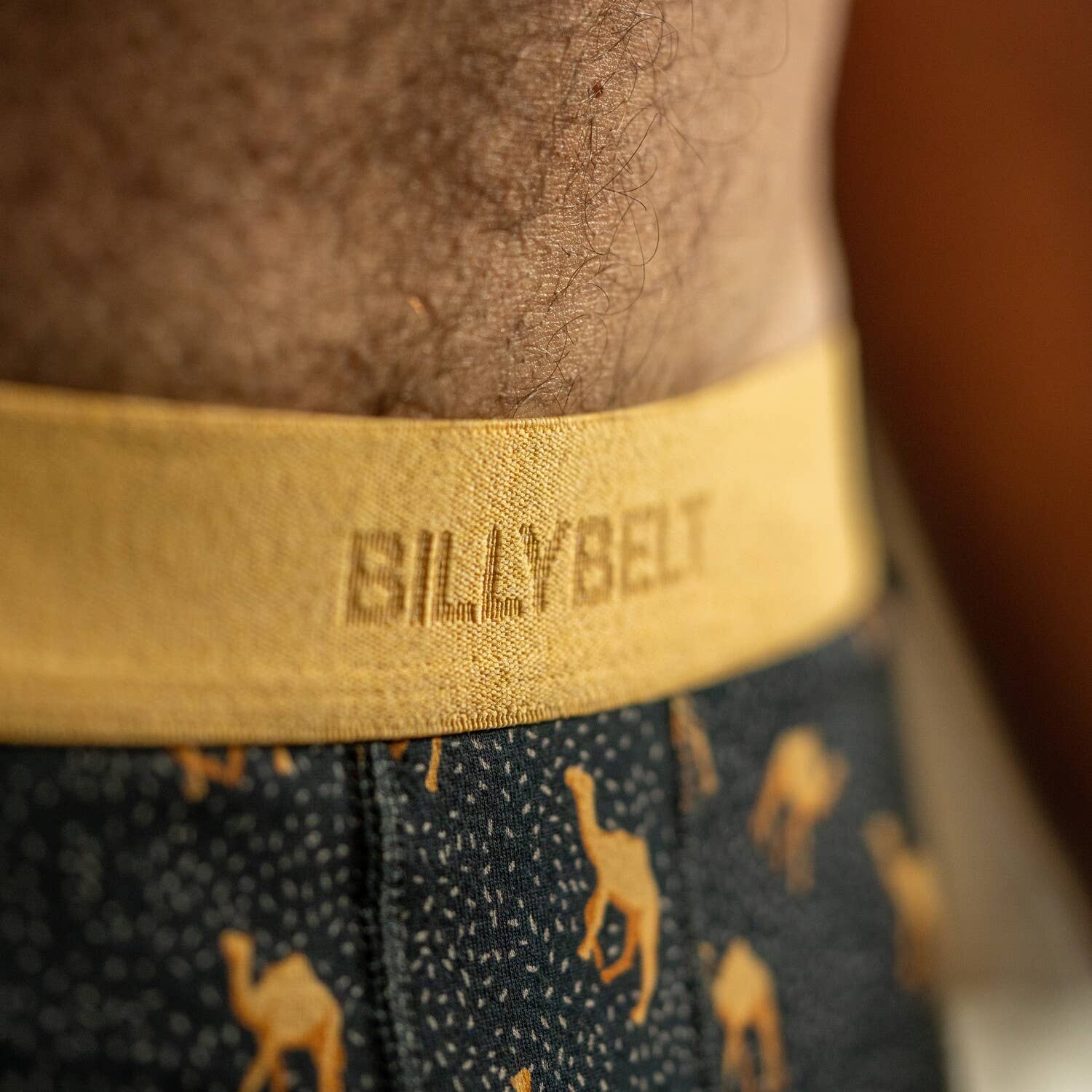 Boxer Chameau