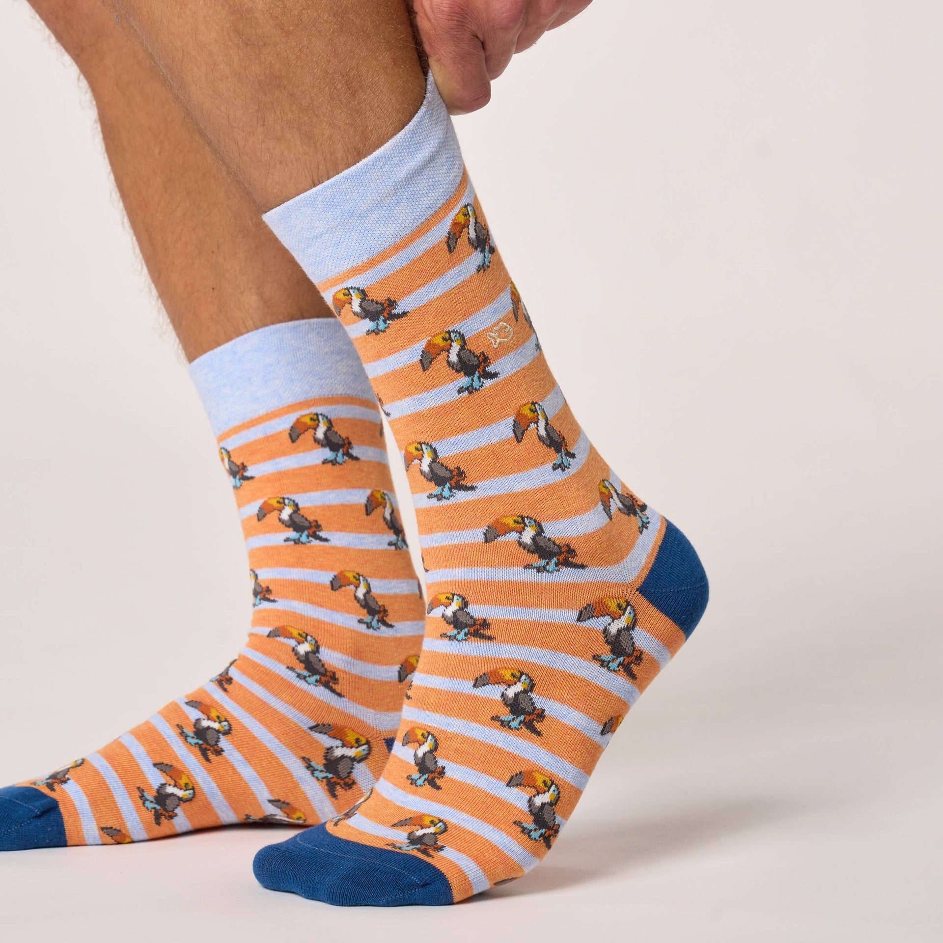 Chaussettes en coton peigné animaux - Toucan