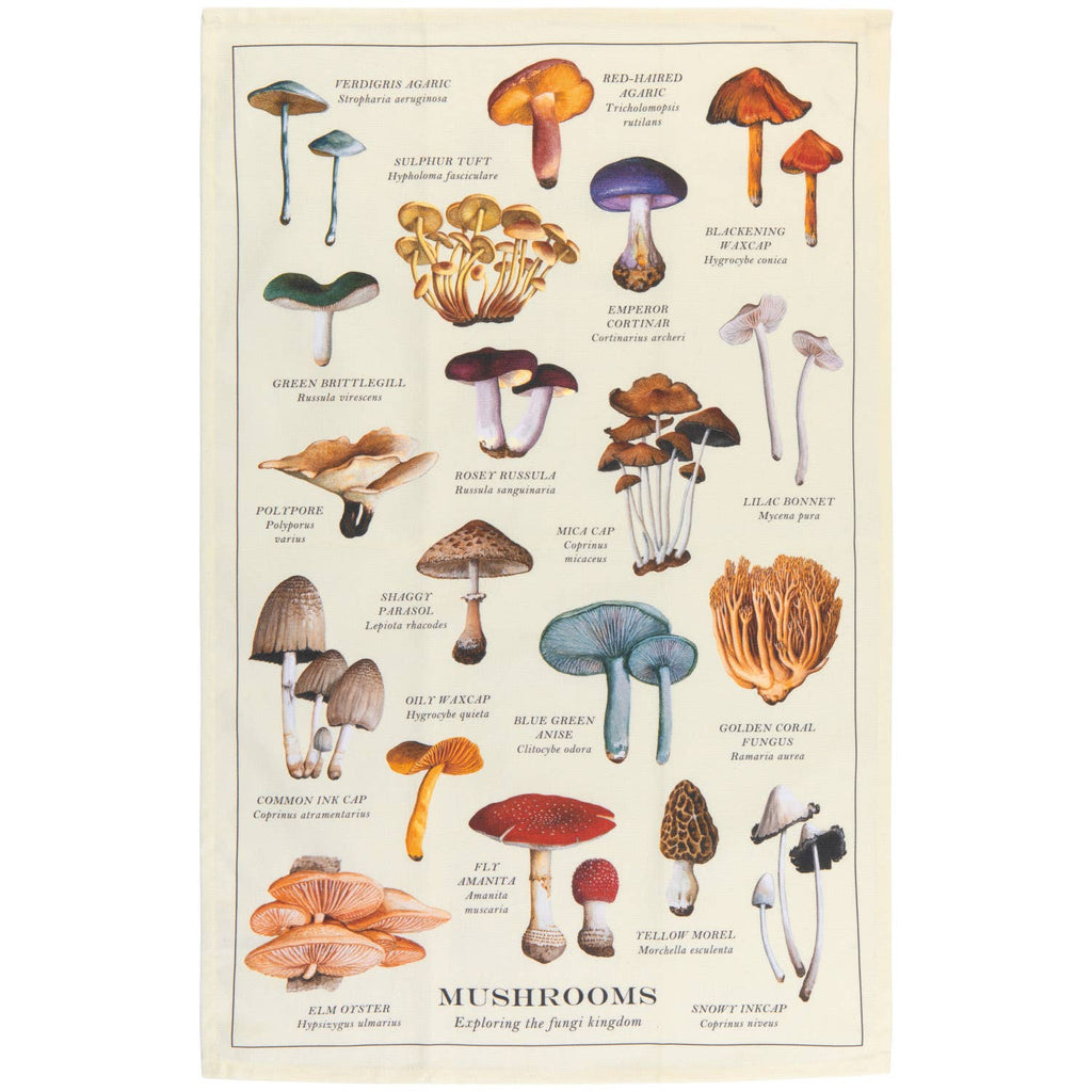 Torchon à motif champignons Now Designs | Design e regali originali