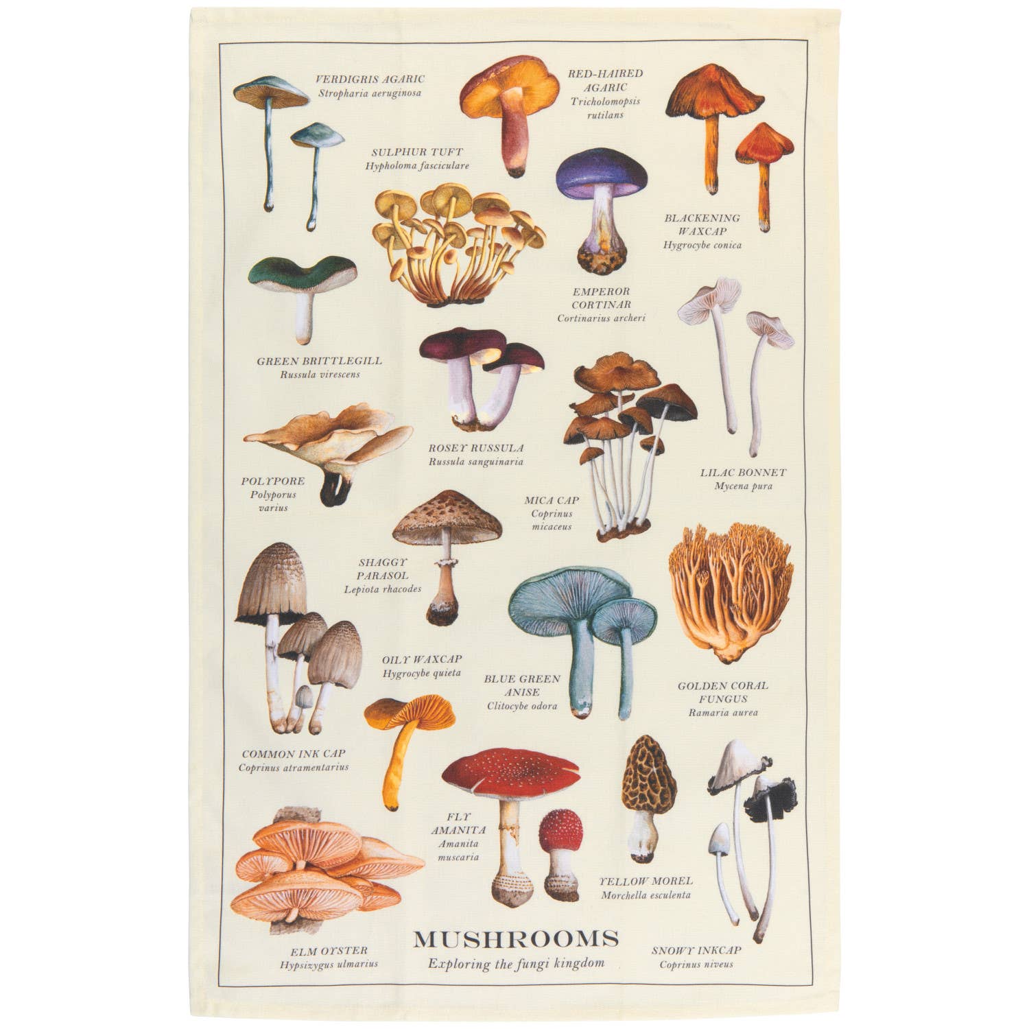Torchon à motif champignons Now Designs | Design e regali originali