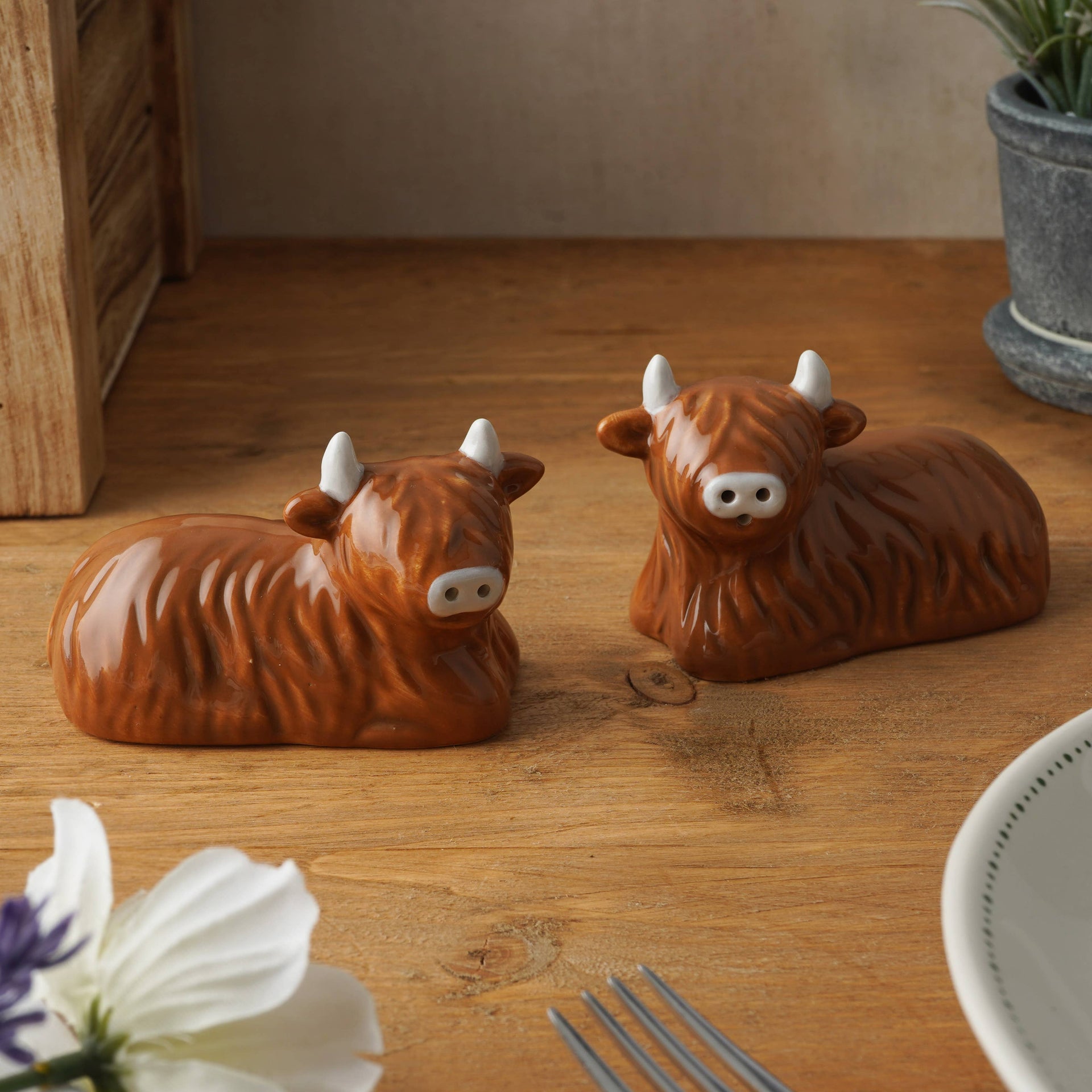 Sel et poivre “Bramble Farm” Vaches des Highland