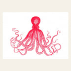Carte postale Pieuvre Rouge