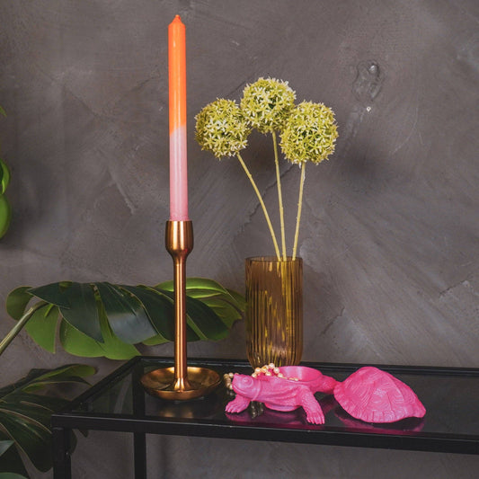 Boîte Tortue - Rose Néon