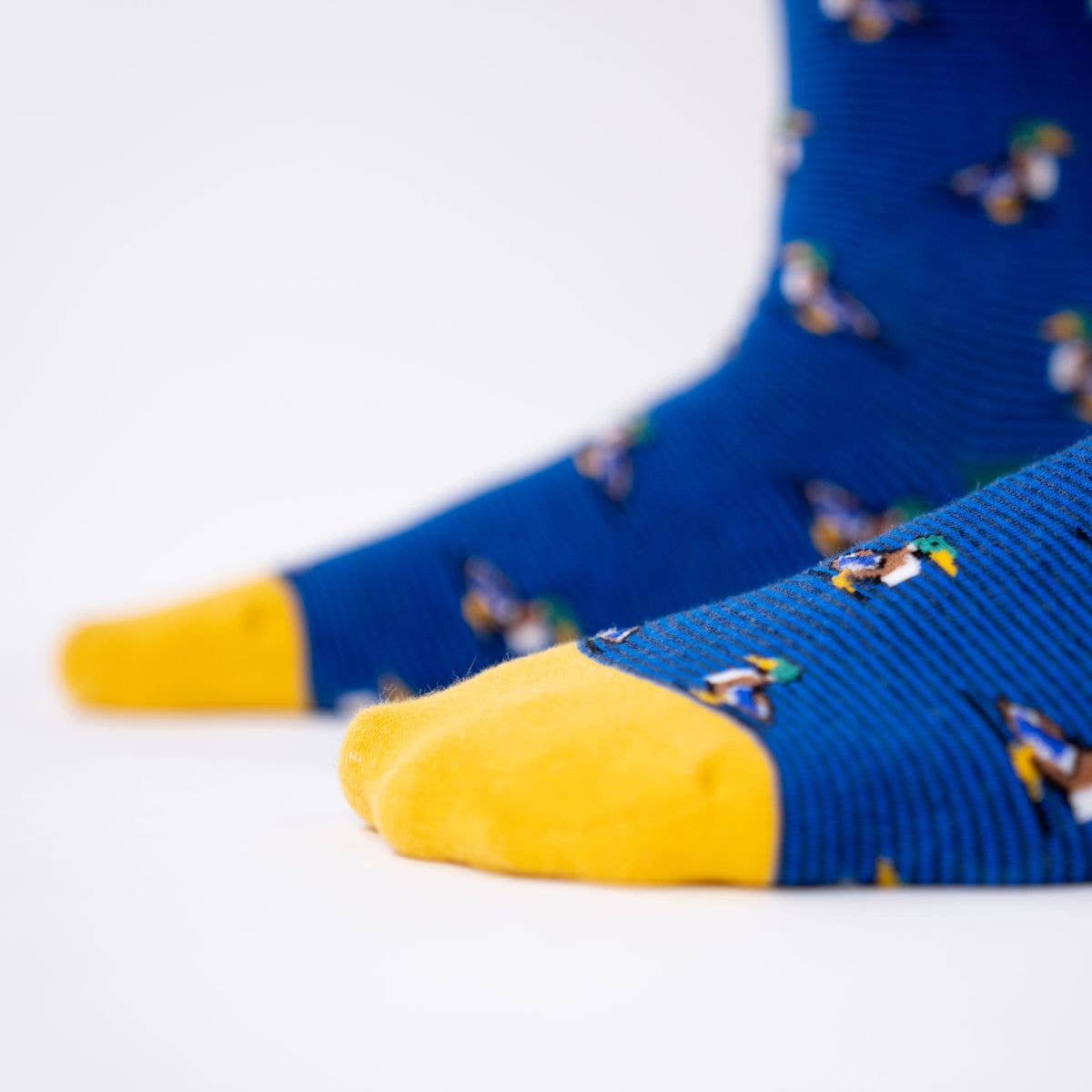 Chaussettes en coton peigné animaux - Canard Colvert