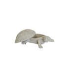 Boîte Tortue - Sable | Design e regali originali