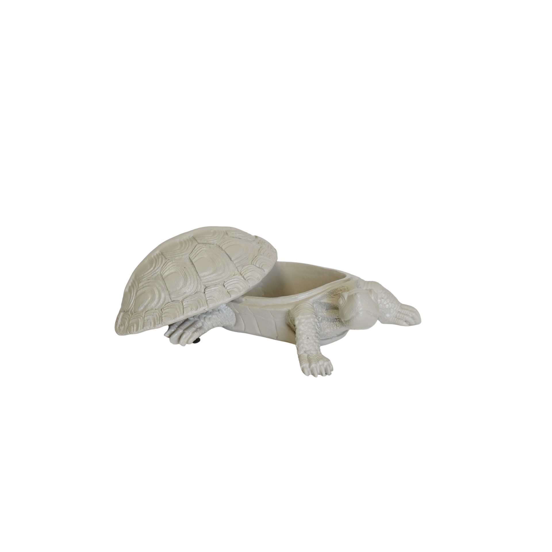 Boîte Tortue - Sable | Design e regali originali